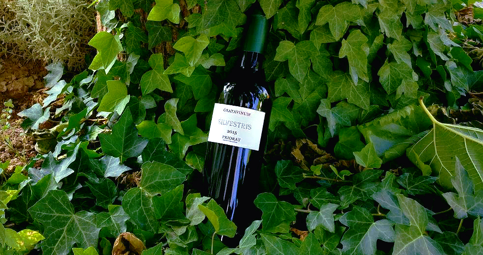 Silvestris de Gratavinum entre els millors vins naturals del món