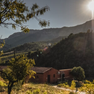 Bodega Gratavinum en el Priorat