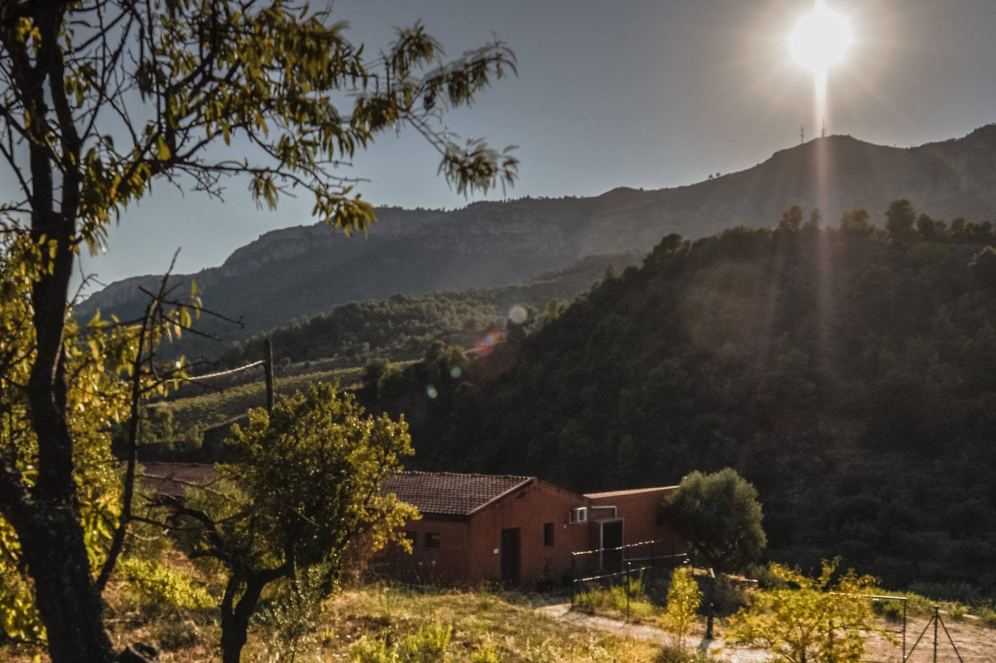 Vistes de les vinyes de Gratavinum al Priorat