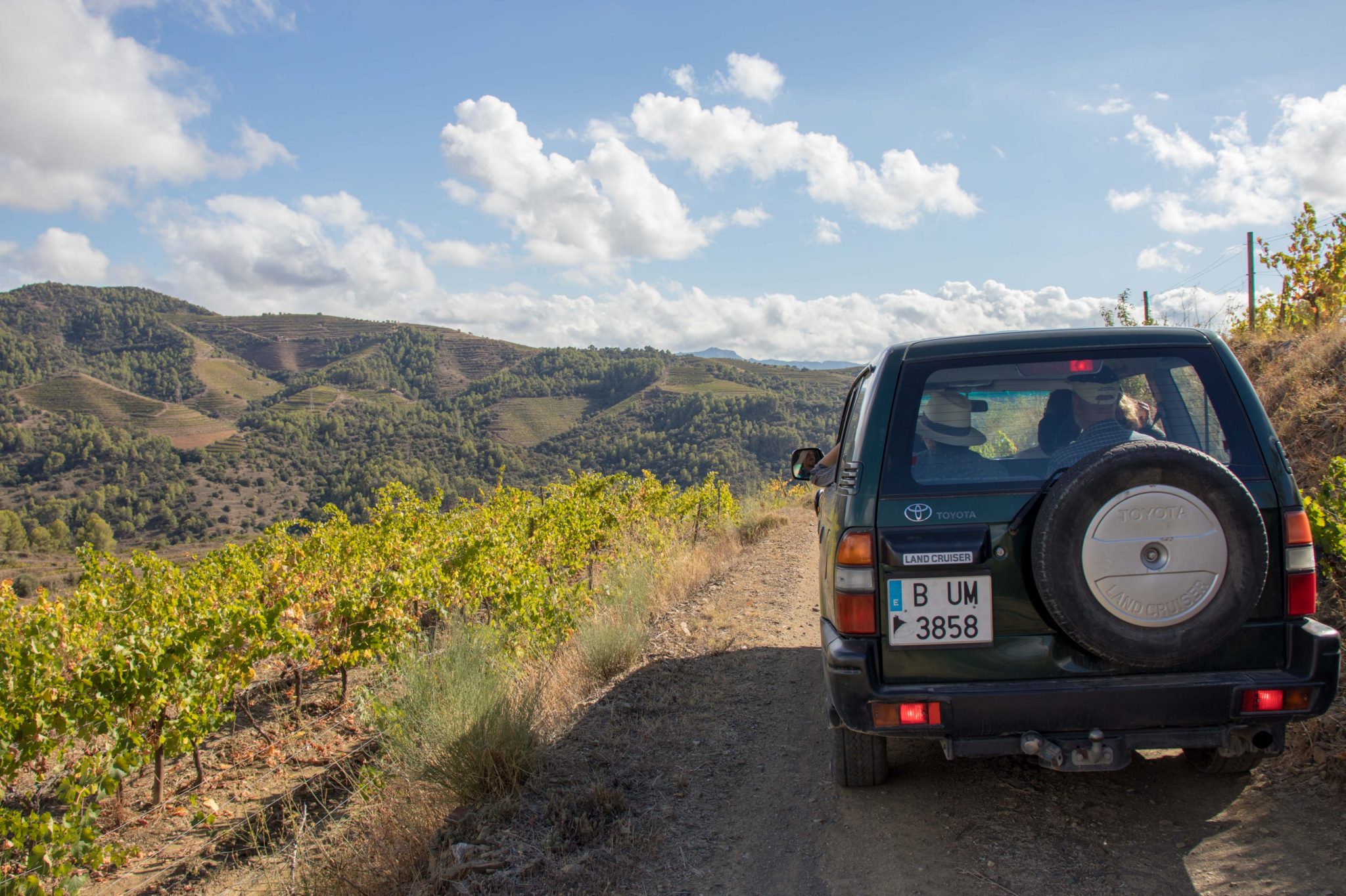 All Terrain Vehicle makes rugged vineyard access easy